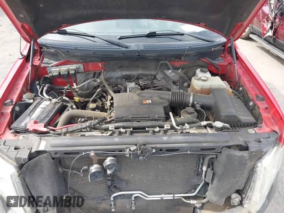 2010 Ford F-150 XL with VIN 1FTMF1CW8AKB04036, listed as a IAAI auction lot 42600377 with 111,774 mi miles and . Bid and sale history available at DreamBid. Image 10.