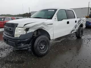 2013 Ford F-150 XL z VIN 1FTFW1CF1DFB06667, wystawiony jako Copart lot #80798315 z przebiegiem 169 103 mil mil oraz Szkoda całkowita • Salvage title. Historia ofert i sprzedaży dostępna na DreamBid. Obrazek 1.