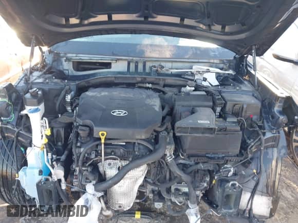 2020 Hyundai Palisade SE с VIN KM8R1DHE4LU145918, выставлен на аукционе IAAI как лот 43446096 с пробегом 131 435 миль миль и . История ставок и продаж доступна на DreamBid. Изображение 10.