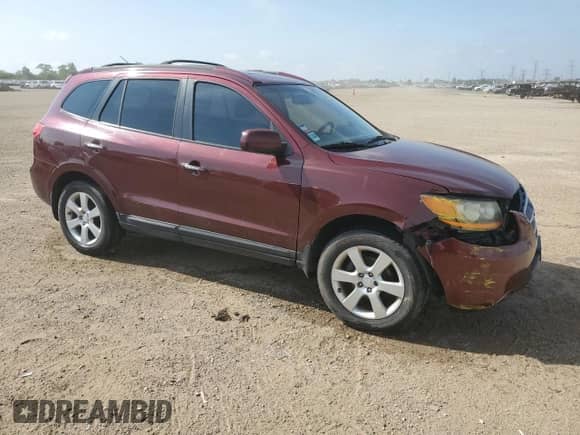 2009 Hyundai Santa Fe SE with VIN 5NMSH13E39H237268, listed as a Copart auction lot 64632905 with 160,087 mi miles and Salvage title. Bid and sale history available at DreamBid. Image 4.