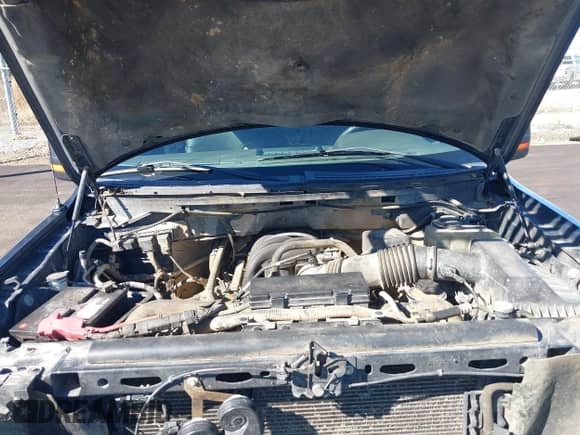 2010 Ford F-150 XL with VIN 1FTEW1E81AFD32598, listed as a IAAI auction lot 43407160 with 343,739 mi miles and . Bid and sale history available at DreamBid. Image 10.