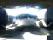 2024 Chevrolet Colorado 2WD Work Truck z VIN 1GCGSBEC0R1204795, wystawiony jako IAAI lot #43440322 z przebiegiem 18 314 mil mil oraz . Historia ofert i sprzedaży dostępna na DreamBid. Obrazek 19.