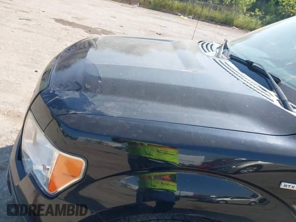 2013 Ford F-150 XL z VIN 1FTFX1CF1DKD46953, wystawiony jako IAAI lot #43164098 z przebiegiem 177 942 mil mil oraz . Historia ofert i sprzedaży dostępna na DreamBid. Obrazek 6.