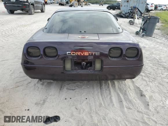 1994 Chevrolet Corvette with VIN 1G1YY22PXR5104229, listed as a Copart auction lot 74204594 with Not provided miles and Salvage title. Bid and sale history available at DreamBid. Image 6.