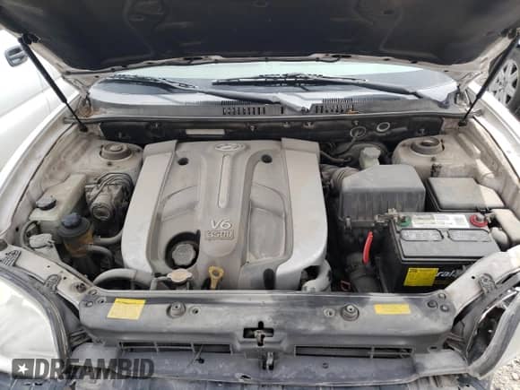 2006 Hyundai Santa Fe GLS z VIN KM8SC13E66U047169, wystawiony jako Copart lot #51193075 z przebiegiem 113 577 mil mil oraz Szkoda całkowita • Salvage title. Historia ofert i sprzedaży dostępna na DreamBid. Obrazek 12.