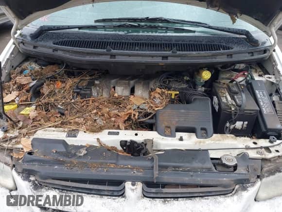 1999 Dodge Caravan SE с VIN 1B4GP44R3XB581077, выставлен на аукционе IAAI как лот 42232502 с пробегом Не указан миль и . История ставок и продаж доступна на DreamBid. Изображение 10.