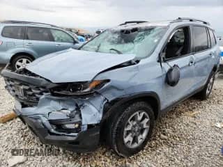 2023 Honda Passport TrailSport with VIN 5FNYF8H64PB020272, listed as a Copart auction lot 69501155 with 35,948 mi miles and Salvage title. Bid and sale history available at DreamBid. Image 1.