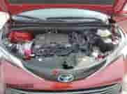 2023 Toyota Sienna Limited с VIN 5TDZRKEC1PS169592, выставлен на аукционе Copart как лот 80927884 с пробегом 9 431 миль миль и Списание • Salvage title. История ставок и продаж доступна на DreamBid. Изображение 12.