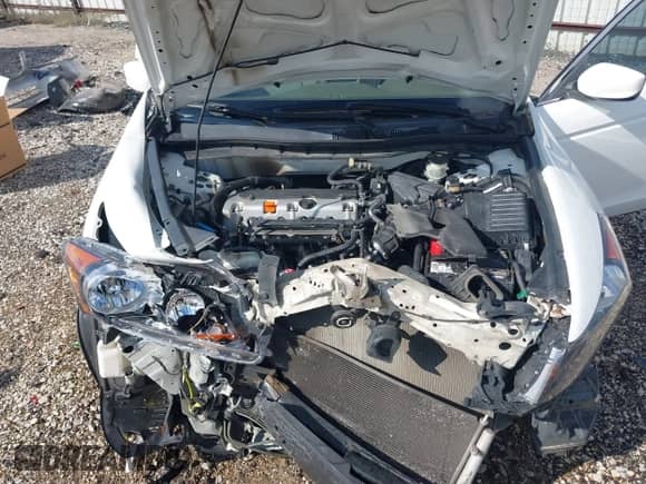 2009 Honda Accord LX with VIN JHMCP263X9C006629, listed as a IAAI auction lot 43292859 with 314,341 mi miles and . Bid and sale history available at DreamBid. Image 10.