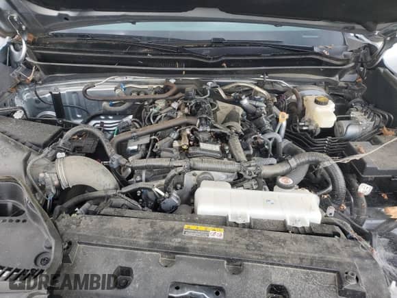 2024 Toyota Tacoma SR5 with VIN 3TYLB5JN6RT060507, listed as a Copart auction lot 81100645 with 7,884 mi miles and Clean title. Bid and sale history available at DreamBid. Image 11.
