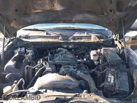 2005 Dodge Dakota SLT with VIN 1D7HW48K95S294045, listed as a IAAI auction lot 43269758 with Not provided miles and . Bid and sale history available at DreamBid. Image 10.