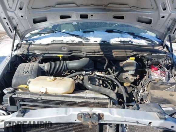 2003 Dodge 1500 ST с VIN 1D7HU18Z83S183372, выставлен на аукционе IAAI как лот 41617973 с пробегом 118 632 миль миль и . История ставок и продаж доступна на DreamBid. Изображение 10.