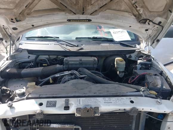 2001 Dodge 2500 with VIN 1B7KC23Z71J500318, listed as a IAAI auction lot 42577477 with 291,941 mi miles and . Bid and sale history available at DreamBid. Image 10.