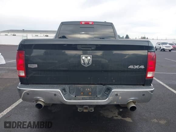 2010 Dodge 1500 SLT with VIN 1D7RV1GT9AS224037, listed as a IAAI auction lot 41134951 with 185,558 mi miles and . Bid and sale history available at DreamBid. Image 16.