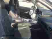 2021 Hyundai Santa Fe Calligraphy with VIN 5NMS5DAL8MH370726, listed as a IAAI auction lot 42099412 with 56,273 mi miles and . Bid and sale history available at DreamBid. Image 5.