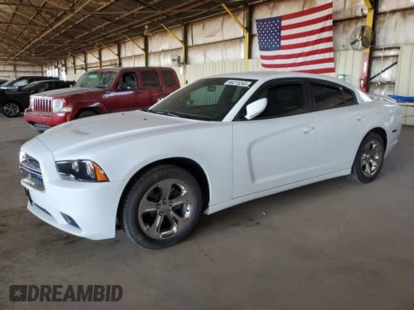 2014 Dodge Charger SE with VIN 2C3CDXBG4EH349500, listed as a Copart auction lot 66215345 with 114,011 mi miles and Salvage title. Bid and sale history available at DreamBid. Image 1.