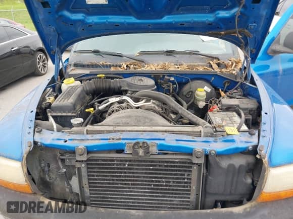 1998 Dodge Dakota SLT с VIN 1B7GL22X8WS564438, выставлен на аукционе IAAI как лот 42344252 с пробегом 137 973 миль миль и . История ставок и продаж доступна на DreamBid. Изображение 10.