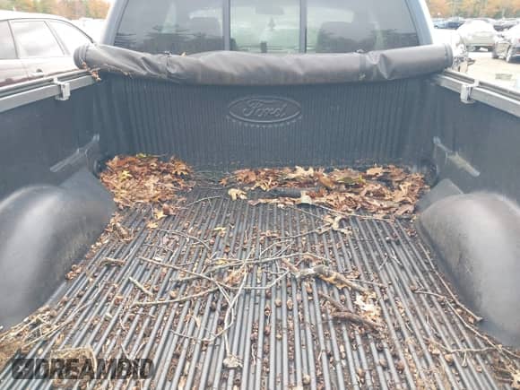 2004 Ford F-150 XLT with VIN 1FTPX14534NC46121, listed as a IAAI auction lot 43528346 with 194,077 mi miles and . Bid and sale history available at DreamBid. Image 15.