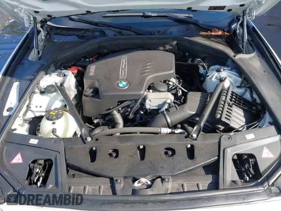 2016 BMW 5 Series 528i xDrive with VIN WBA5A7C5XGG144351, listed as a IAAI auction lot 43103102 with 86,313 mi miles and . Bid and sale history available at DreamBid. Image 10.