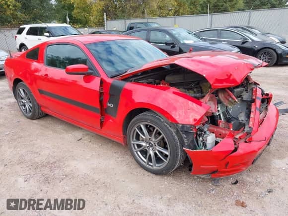 2014 Ford Mustang GT with VIN 1ZVBP8CF0E5243561, listed as a IAAI auction lot 43439298 with 37,040 mi miles and . Bid and sale history available at DreamBid. Image 1.