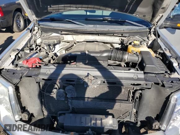 2014 Ford F-150 FX4 with VIN 1FTFW1ET0EFA96251, listed as a Copart auction lot 70305585 with 286,829 mi miles and Salvage title. Bid and sale history available at DreamBid. Image 11.