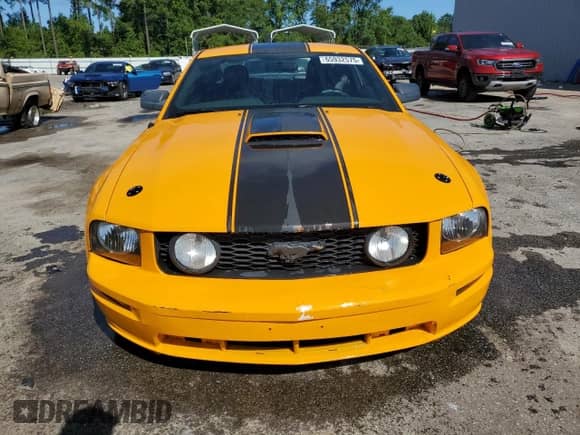 2007 Ford Mustang GT Deluxe z VIN 1ZVFT82H175224035, wystawiony jako Copart lot #65932575 z przebiegiem 126 200 mil mil oraz Szkoda całkowita • Salvage title. Historia ofert i sprzedaży dostępna na DreamBid. Obrazek 5.