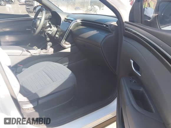 2022 Hyundai Santa Cruz SE с VIN 5NTJADAEXNH023610, выставлен на аукционе IAAI как лот 42323489 с пробегом 28 760 миль миль и . История ставок и продаж доступна на DreamBid. Изображение 5.