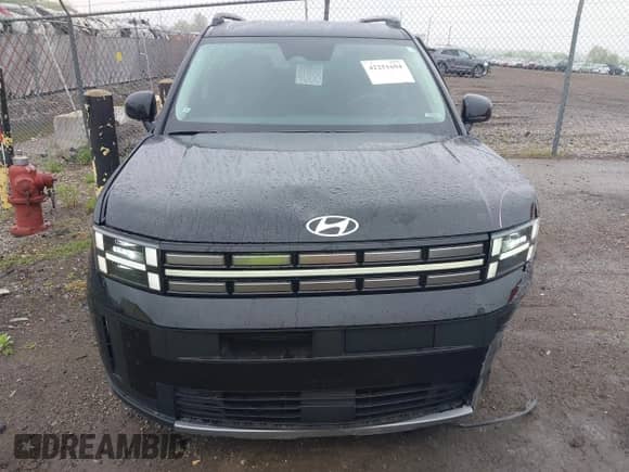 2024 Hyundai Santa Fe SEL с VIN 5NMP2DGL3RH010289, выставлен на аукционе IAAI как лот 42251694 с пробегом 25 039 миль миль и . История ставок и продаж доступна на DreamBid. Изображение 12.