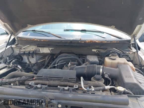 2010 Ford F-150 XL with VIN 1FTEW1E80AKA75716, listed as a IAAI auction lot 42573197 with 280,376 mi miles and . Bid and sale history available at DreamBid. Image 10.