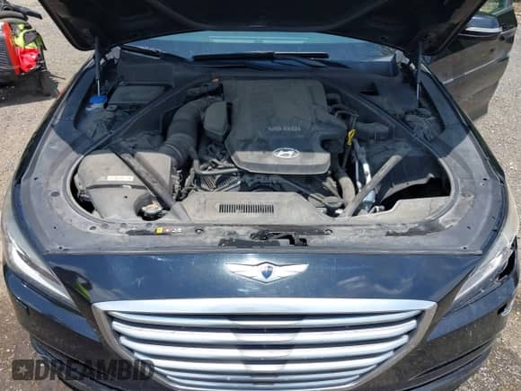 2016 Hyundai Genesis 3.8L с VIN KMHGN4JE4GU111148, выставлен на аукционе IAAI как лот 42441550 с пробегом 109 664 миль миль и . История ставок и продаж доступна на DreamBid. Изображение 10.