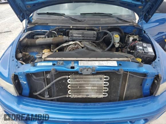 2001 Dodge 1500 с VIN 3B7HF13Y31G738252, выставлен на аукционе Copart как лот 59027035 с пробегом 284 818 миль миль и Списание • Salvage title. История ставок и продаж доступна на DreamBid. Изображение 11.