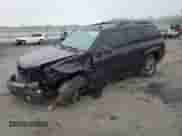 2008 Chevrolet TrailBlazer 1LT z VIN 1GNDT13S482153886, wystawiony jako Copart lot #55815595 z przebiegiem 227 022 mil mil oraz Szkoda całkowita • Salvage title. Historia ofert i sprzedaży dostępna na DreamBid. Obrazek 1.
