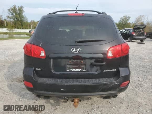 2008 Hyundai Santa Fe GLS с VIN 5NMSG13D08H183629, выставлен на аукционе Copart как лот 71230354 с пробегом Не указан миль и Списание • Salvage title. История ставок и продаж доступна на DreamBid. Изображение 6.