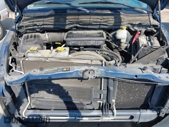 2006 Dodge 1500 ST with VIN 1D7HA18K56J146754, listed as a IAAI auction lot 43243604 with 285,737 mi miles and . Bid and sale history available at DreamBid. Image 10.