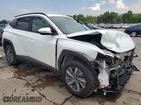 2022 Hyundai Tucson Blue with VIN KM8JBCA1XNU029931, listed as a Copart auction lot 65413895 with 82,437 mi miles and Salvage title. Bid and sale history available at DreamBid. Image 4.