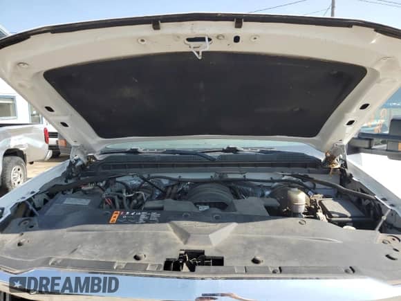 2017 Chevrolet Silverado 1500 Work Truck with VIN 1GCRCNEC5HZ338564, listed as a Copart auction lot 62507885 with Not provided miles and Salvage title. Bid and sale history available at DreamBid. Image 11.