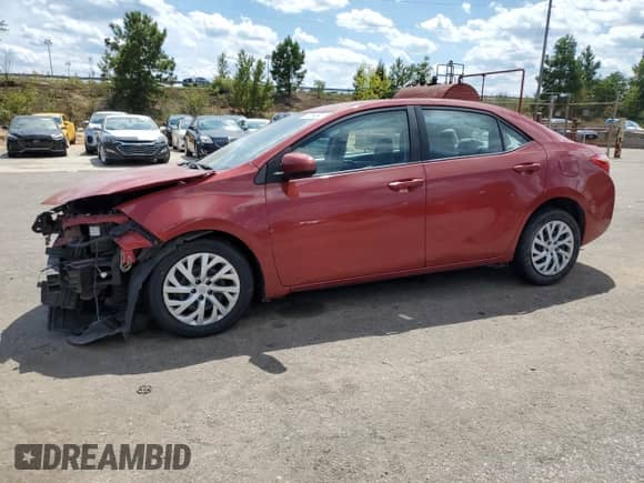 2019 Toyota Corolla L с VIN 5YFBURHE7KP927412, выставлен на аукционе Copart как лот 70284545 с пробегом 102 405 миль миль и Списание • Salvage title. История ставок и продаж доступна на DreamBid. Изображение 1.