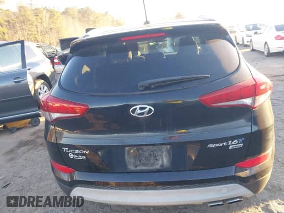 2017 Hyundai Tucson Eco с VIN KM8J3CA29HU285665, выставлен на аукционе IAAI как лот 41352005 с пробегом 107 780 миль миль и . История ставок и продаж доступна на DreamBid. Изображение 17.