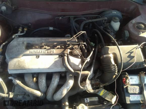 1998 Chevrolet Prizm с VIN 1Y1SK5285WZ444669, выставлен на аукционе IAAI как лот 38790509 с пробегом Не указан миль и . История ставок и продаж доступна на DreamBid. Изображение 10.
