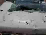 1995 Nissan Frontier with VIN 1N6SD11S7SC475209, listed as a Copart auction lot 67856375 with 246,193 mi miles and Salvage title. Bid and sale history available at DreamBid. Image 11.