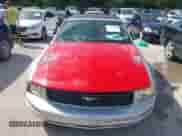 2006 Ford Mustang Standard with VIN 1ZVFT84N865179869, listed as a IAAI auction lot 42739510 with 200,205 mi miles and . Bid and sale history available at DreamBid. Image 6.