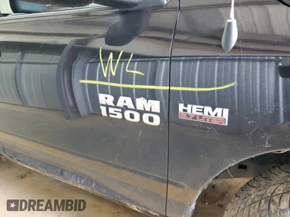 2014 Ram 1500 Tradesman with VIN 3C6JR6AT5EG305137, listed as a Copart auction lot 74699094 with Not provided miles and Salvage title. Bid and sale history available at DreamBid. Image 12.