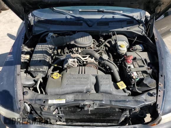 2002 Dodge Dakota Sport z VIN 1B7HL38X22S650873, wystawiony jako Copart lot #55765515 z przebiegiem 207 157 mil mil oraz Szkoda całkowita • Salvage title. Historia ofert i sprzedaży dostępna na DreamBid. Obrazek 11.