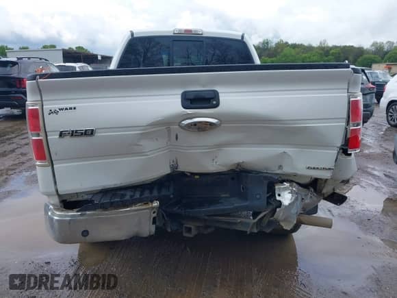 2013 Ford F-150 XL with VIN 1FTEX1EM8DKF20797, listed as a IAAI auction lot 42011857 with 203,872 mi miles and . Bid and sale history available at DreamBid. Image 6.