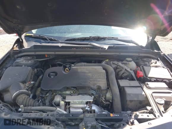 2019 Chevrolet Malibu LT with VIN 1G1ZD5ST0KF111575, listed as a IAAI auction lot 43192863 with 67,749 mi miles and . Bid and sale history available at DreamBid. Image 10.