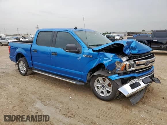 2019 Ford F-150 XL with VIN 1FTEW1C45KKF26091, listed as a Copart auction lot 61762495 with 110,288 mi miles and Salvage title. Bid and sale history available at DreamBid. Image 4.