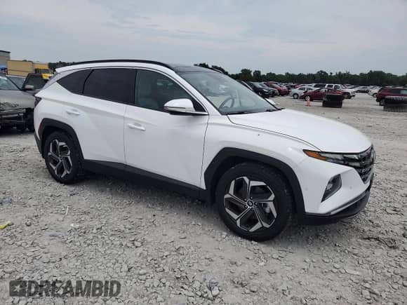 2023 Hyundai Tucson Limited with VIN 5NMJE3AEXPH276777, listed as a Copart auction lot 65532505 with 29,413 mi miles and Salvage title. Bid and sale history available at DreamBid. Image 4.