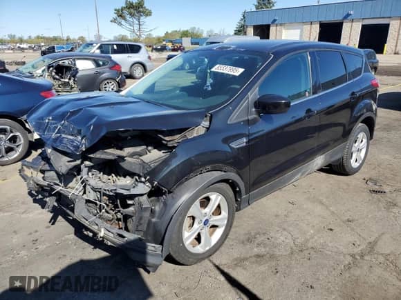 2014 Ford Escape SE with VIN 1FMCU0GX6EUB88717, listed as a Copart auction lot 85537995 with 89,043 mi miles and Clean title. Bid and sale history available at DreamBid. Image 1.