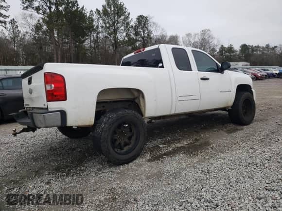 2009 Chevrolet Silverado 1500 LS with VIN 1GCEK19CX9Z271871, listed as a Copart auction lot 88402645 with 232,975 mi miles and Salvage title. Bid and sale history available at DreamBid. Image 3.