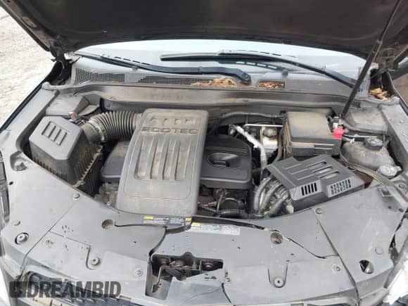 2013 Chevrolet Equinox LT z VIN 2GNALDEK6D6344806, wystawiony jako IAAI lot #43327271 z przebiegiem 159 382 mil mil oraz . Historia ofert i sprzedaży dostępna na DreamBid. Obrazek 10.